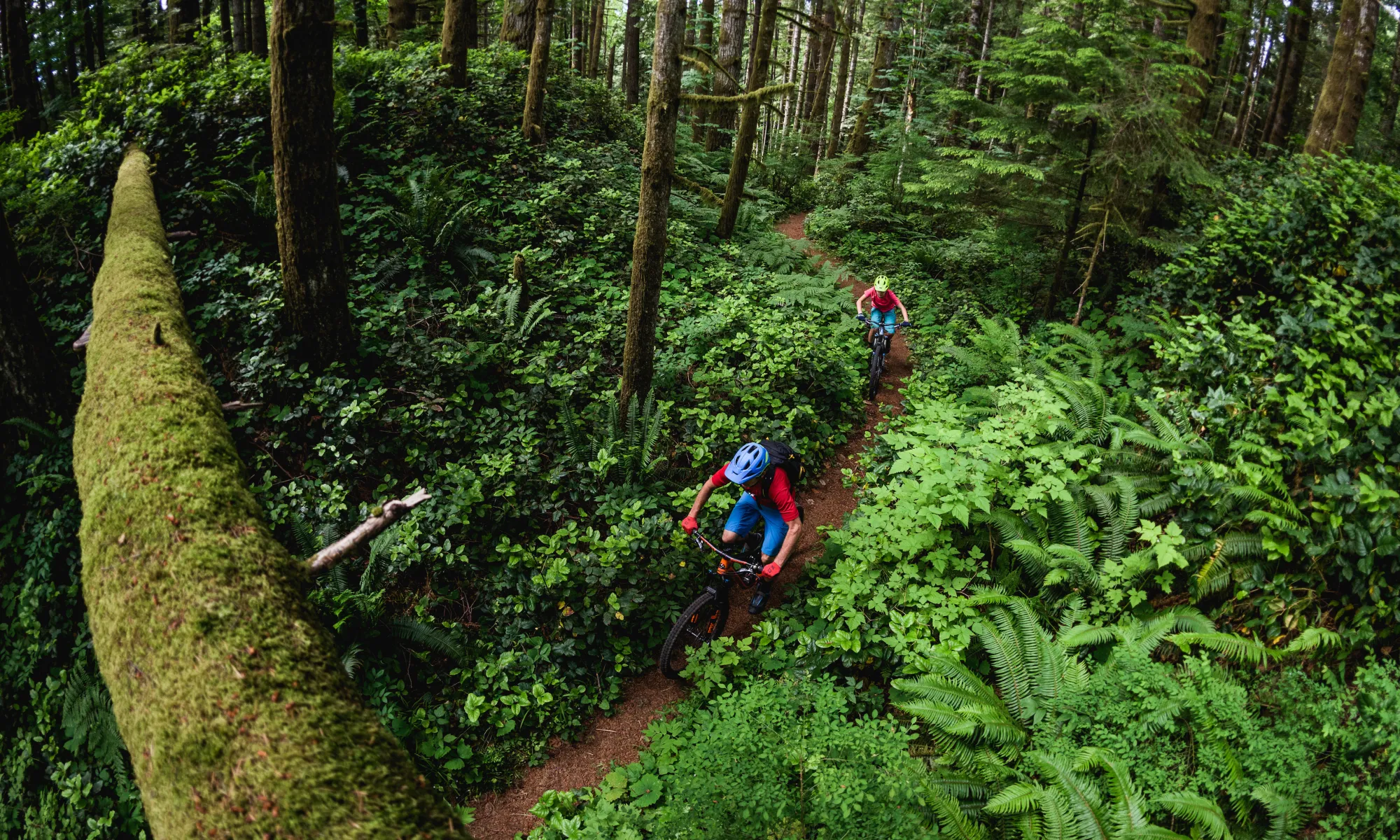 Mountain bikers winding through dense green forest near Campbell River